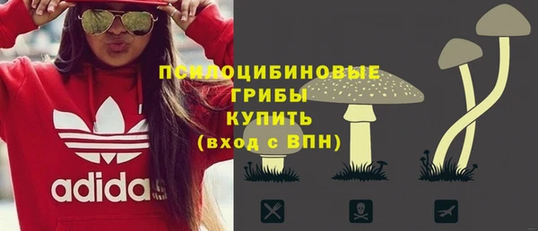мяу мяу мука Пересвет