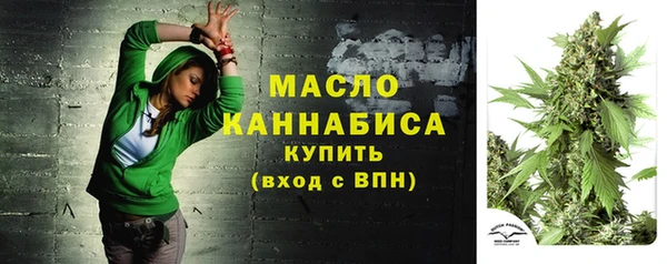 молекула духа Переславль-Залесский