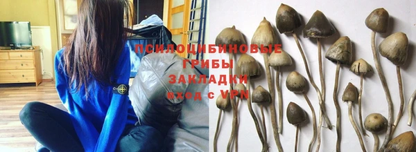 мяу мяу мука Пересвет